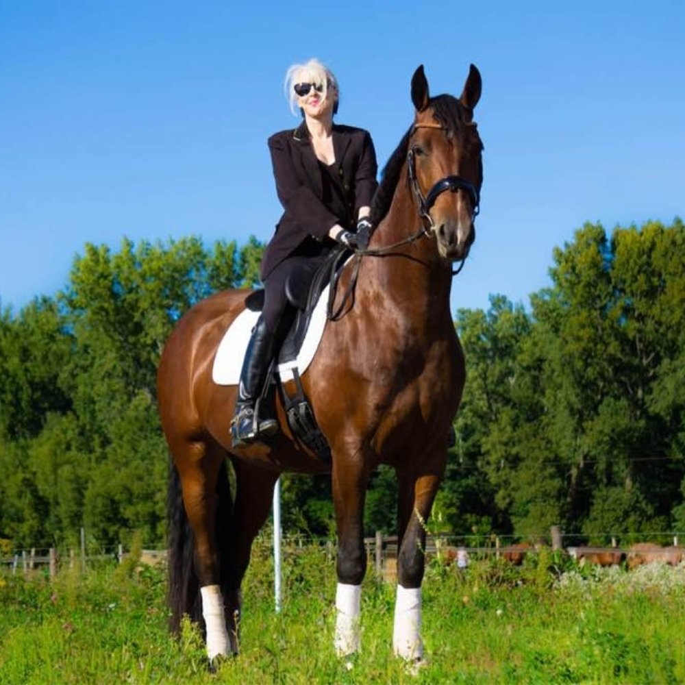 Meet your Posher, Posh